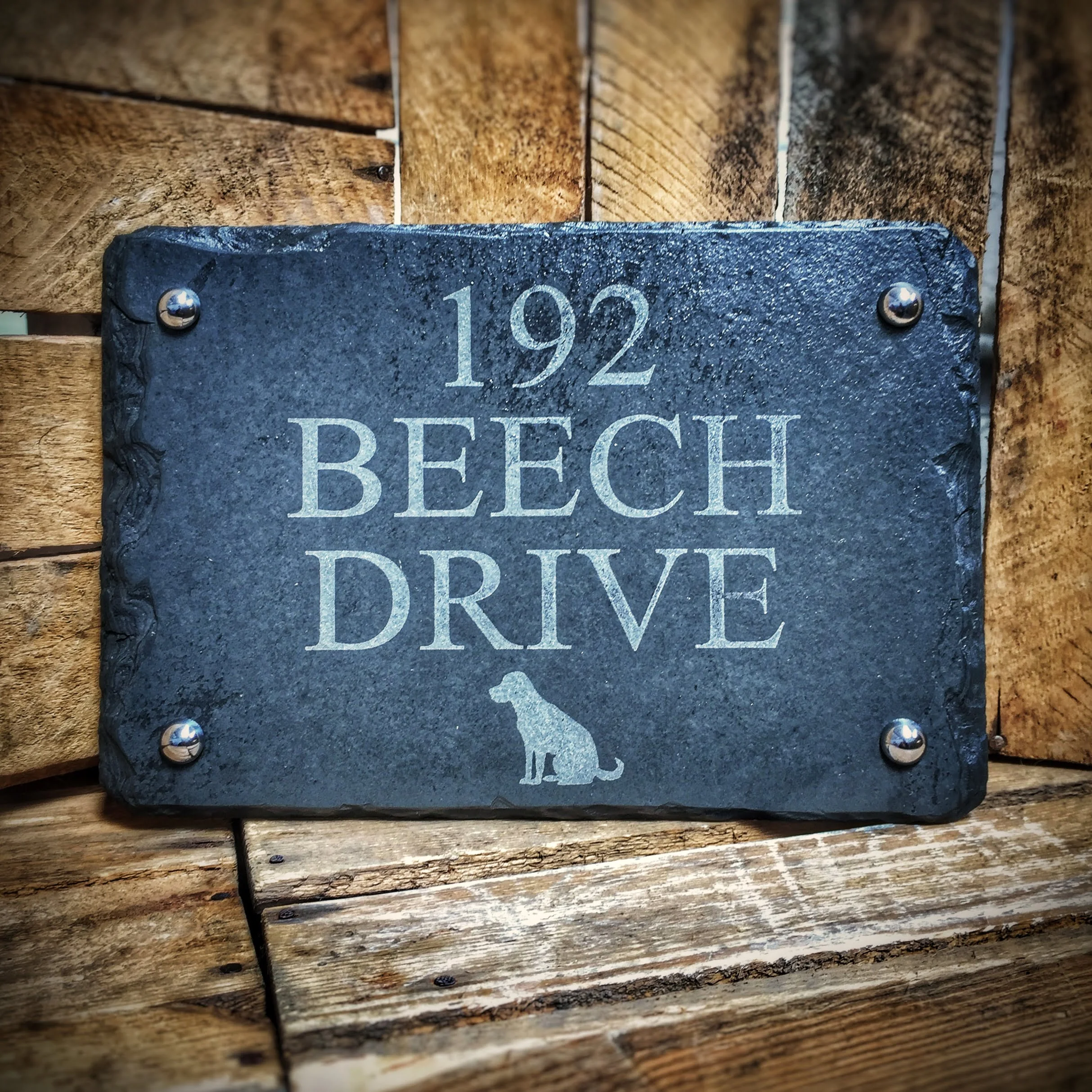 P Etch 2517 Dog P Etch 2517 Dog