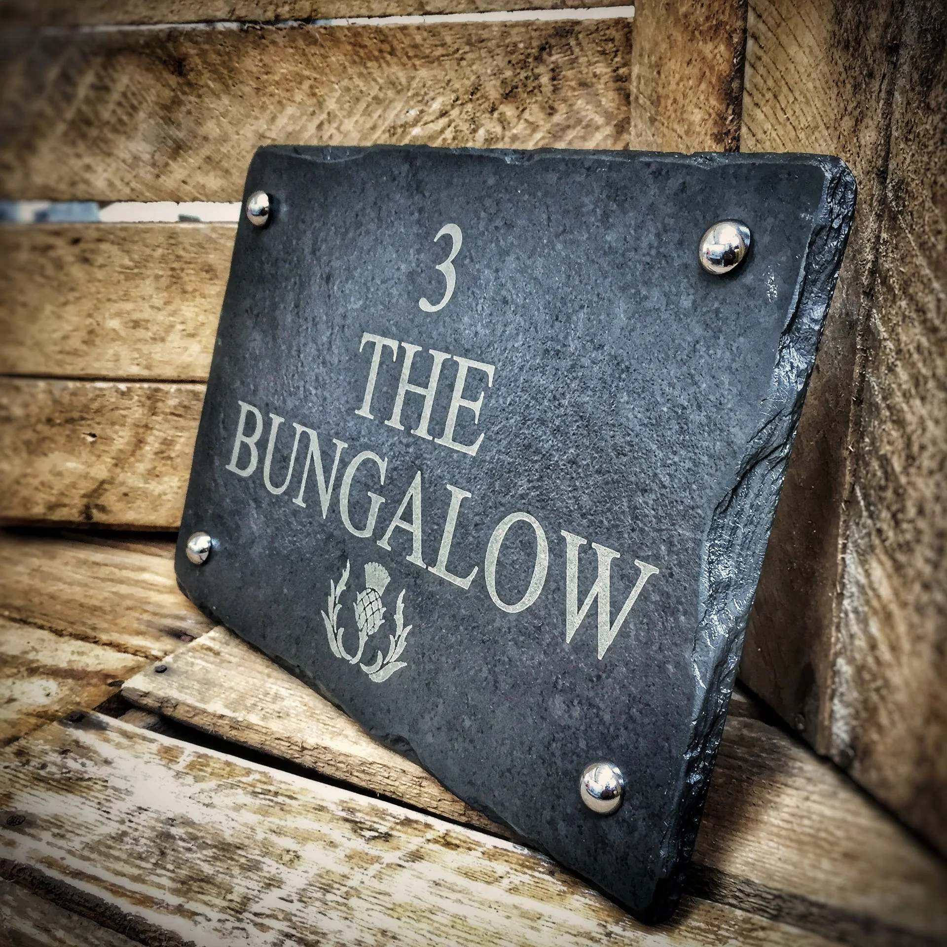 P Etch 2517 Thistle 1 P Etch 2517 Thistle 1