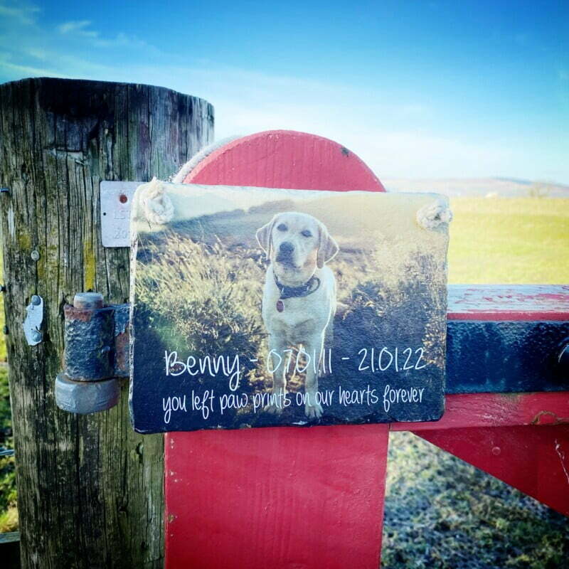 Petmemorial Photo With Text 20x15cm 3